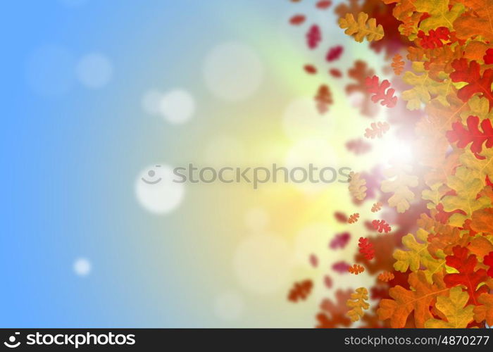 Autumn leaves. Background conceptual image with autumn leaves. Place for text