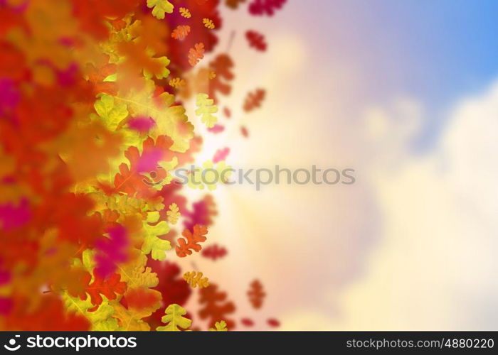 Autumn leaves. Background conceptual image with autumn leaves. Place for text