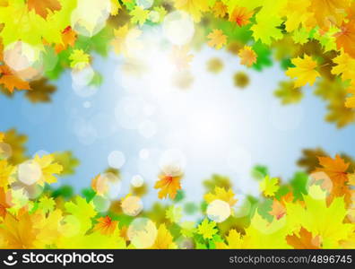 Autumn leaves. Background conceptual image with autumn leaves. Place for text