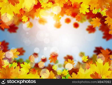 Autumn leaves. Background conceptual image with autumn leaves. Place for text