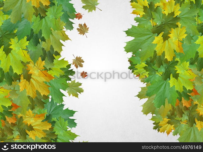 Autumn leaves. Background conceptual image with autumn leaves. Place for text