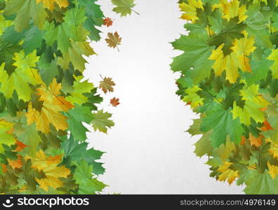 Autumn leaves. Background conceptual image with autumn leaves. Place for text