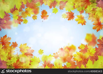 Autumn leaves. Background conceptual image with autumn leaves. Place for text