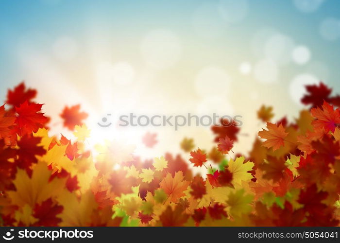 Autumn leaves. Background conceptual image with autumn leaves. Place for text