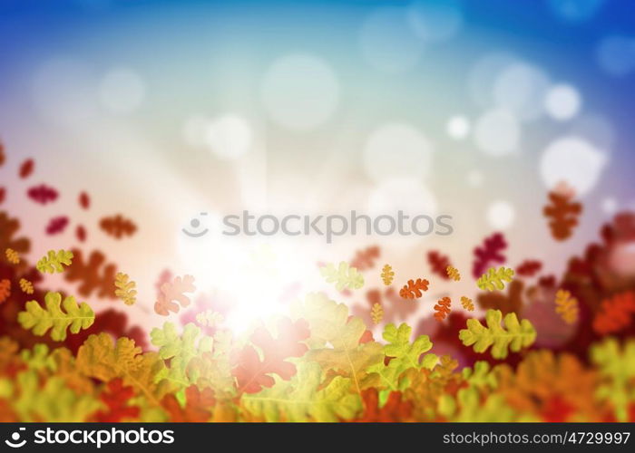 Autumn leaves. Background image with autumn leaves. Place for text