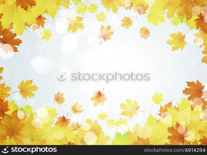 Autumn leaves. Background image with autumn leaves. Place for text