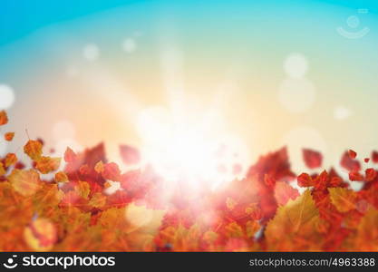 Autumn leaves. Background image with autumn leaves. Place for text