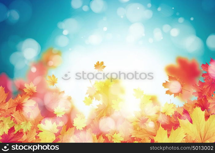 Autumn leaves. Background image with autumn leaves. Place for text