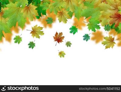 Autumn leaves. Background image with autumn leaves. Place for text