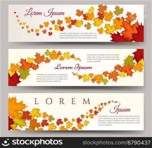 Autumn leaves banners. Autumn leaves banners. Leaf fall card templates graphic vector illustration