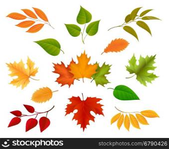 Autumn leaves icons. Autumn leaves or golden foliage vector isolated on white background