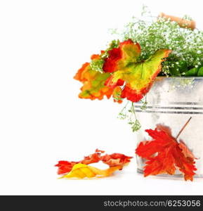 Autumn leaves in the pot isolated on white
