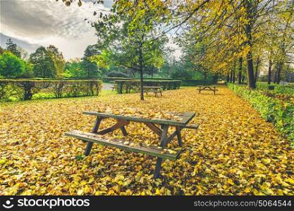 Autumn leaves on a bench in a park in autumn with colorful autumn maple leaves in yellow colors in the fall in october