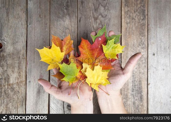 Autumn leaves on a hand with old wooden background