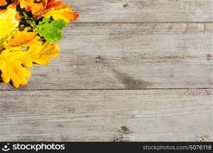 Autumn leaves on a table. Green, yellow and red autumn leaves on a wooden table.