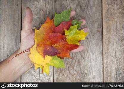 Autumn leaves on ahand with wooden background
