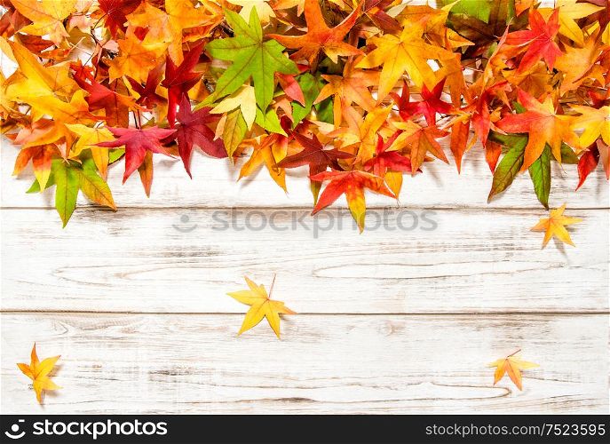 Autumn leaves on bright wooden background. Vibrant colors
