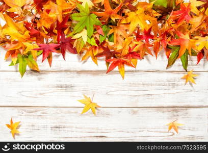 Autumn leaves on bright wooden background. Vibrant colors