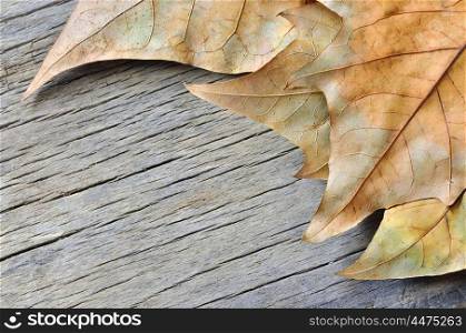 Autumn leaves on brown wooden table