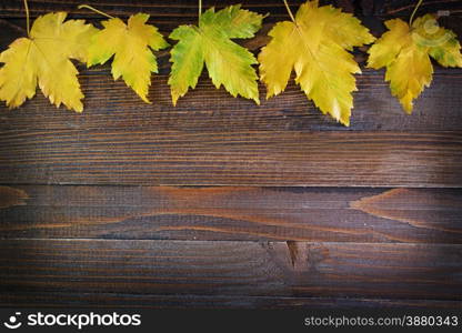 autumn leaves on the wooden background, yellow leaves
