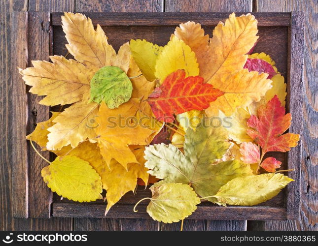 autumn leaves on the wooden background, yellow leaves