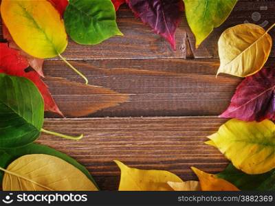 autumn leaves on the wooden background,yellow leaves and wooden boards