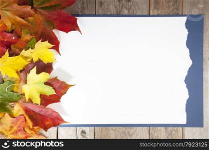 Autumn leaves on wooden background with white paper