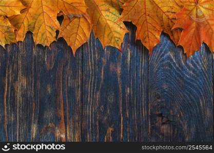 Autumn Leaves over wooden background. Autumn leaves frame.. Autumn Leaves over wooden background. Autumn leaves frame