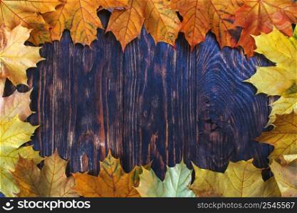 Autumn Leaves over wooden background. Autumn leaves frame.. Autumn Leaves over wooden background. Autumn leaves frame