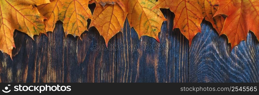Autumn Leaves over wooden background. Autumn leaves frame. banner.. Autumn Leaves over wooden background. Autumn leaves frame. banner