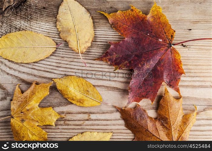 Autumn leaves over wooden background. Autumn leaves over wooden background with copy space