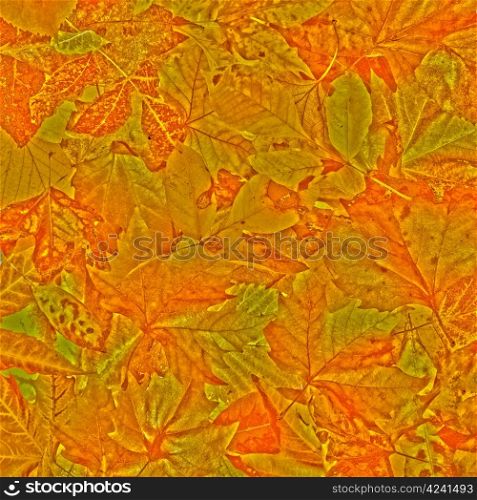 Autumn leaves pastel colors background. Pile of leaves close up.