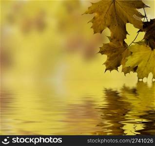 Autumn leaves recflected in to the water