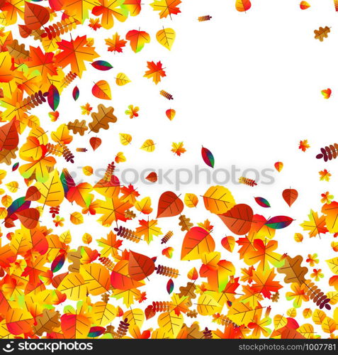 Autumn leaves scattered background with oak, maple and rowan