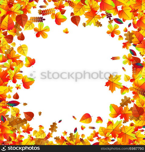 Autumn leaves scattered background with oak, maple and rowan