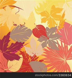 Autumn leaves, vector art illustration