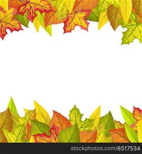 Autumn leaves vector frame. Flat design. Colored leaves of variety trees on top and bottom side with white free space in the middle. For decoration, nature concept, seasonal promotion and ad design. Autumn Leaves Vector Frame in Flat Design . Autumn Leaves Vector Frame in Flat Design