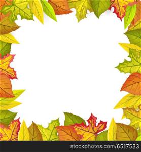 Autumn Leaves Vector Frame in Flat Design. Autumn leaves vector frame. Flat design. Colored leaves of variety trees on top and bottom side with white free space in the middle. For decoration, nature concept, seasonal promotion and ad design