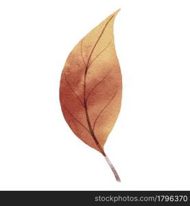 autumn leaves watercolor style.