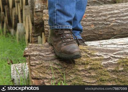 Autumn legs over piled logs background