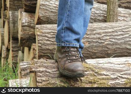 Autumn legs over piled logs background