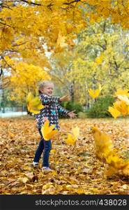 Autumn - little girl is playing with maple leaves in the park