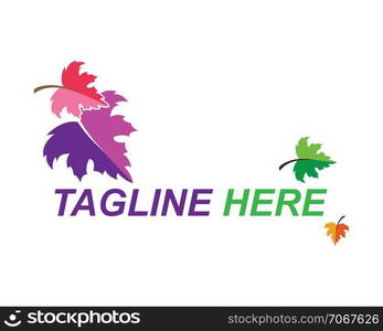 autumn logo vector template ilustration