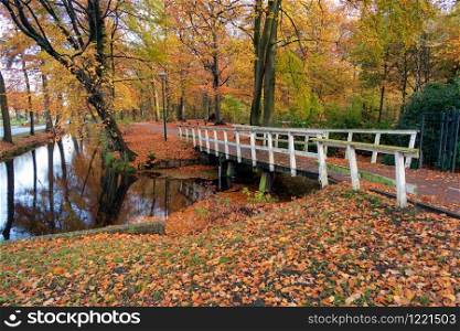 Autumn look in Dutch forest with wooden bridge and ditch with mirrored trees. Autumn look in Dutch forest with wooden bridge and ditch