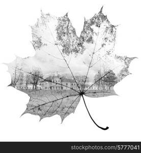 autumn maple leaf mixed with trees and sky, double exposure photo