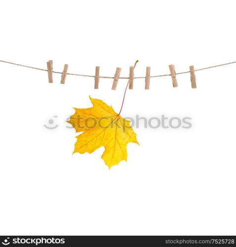 Autumn maple leaf on clothes line with pegs isolated over white background