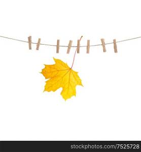 Autumn maple leaf on clothes line with pegs isolated over white background