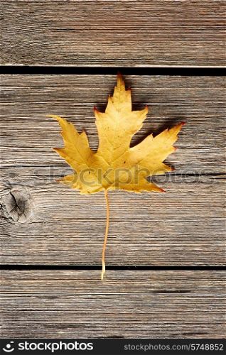Autumn maple leaf over old wooden background with copy space
