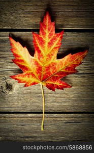 Autumn maple leaf over old wooden background with copy space