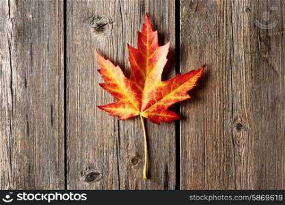 Autumn maple leaf over old wooden background with copy space